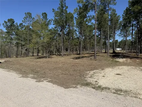 521 Rolling Pines Drive Livingston TX 77351