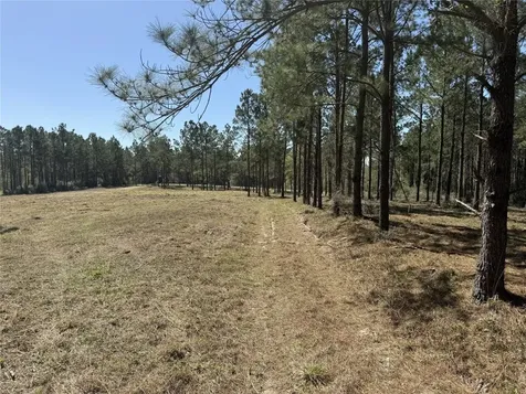 521 Rolling Pines Drive Livingston TX 77351