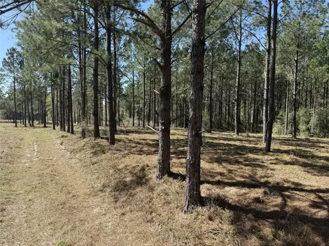 521 Rolling Pines Drive Livingston TX 77351