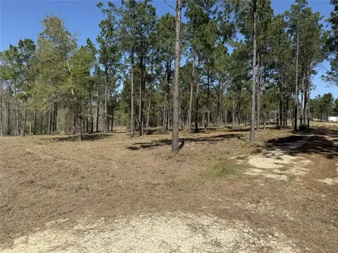 521 Rolling Pines Drive Livingston TX 77351