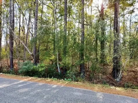 0 Belleau Wood Drive Humble TX 77338