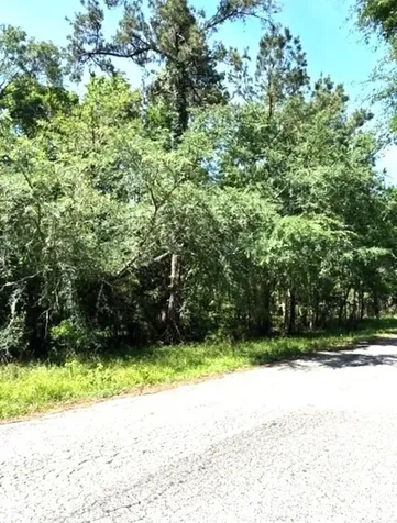 0 Belleau Wood Drive Humble TX 77338