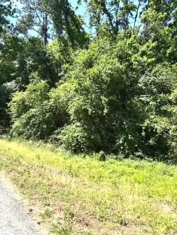 0 Belleau Wood Drive Humble TX 77338