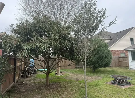 23910 Fairport Harbor Lane Richmond TX 77407