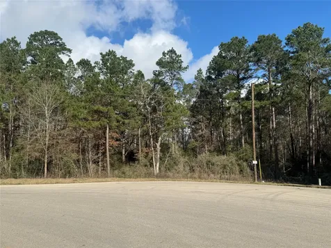 67-21-13 Bighorn Road New Waverly TX 77358