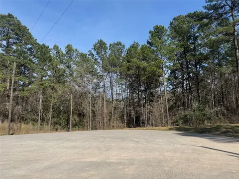 67-21-13 Bighorn Road New Waverly TX 77358