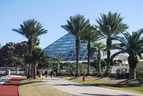 7000 Seawall Boulevard 236 Galveston TX 77551