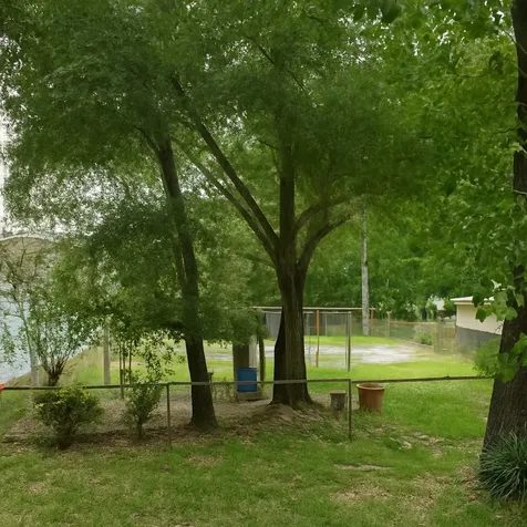 4113 Averill Street Houston TX 77009