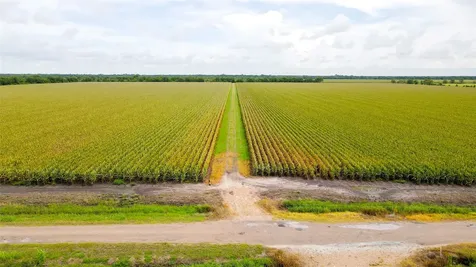 000 County Road 384 Louise TX 77455