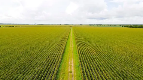 000 County Road 384 Louise TX 77455