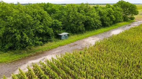 000 County Road 384 Louise TX 77455