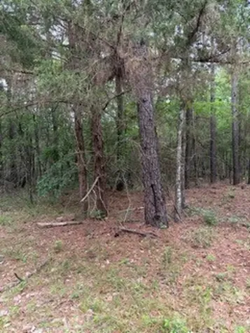 139785 Winters Vista Drive Willis TX 77378