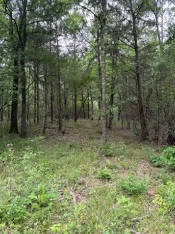 139785 Winters Vista Drive Willis TX 77378