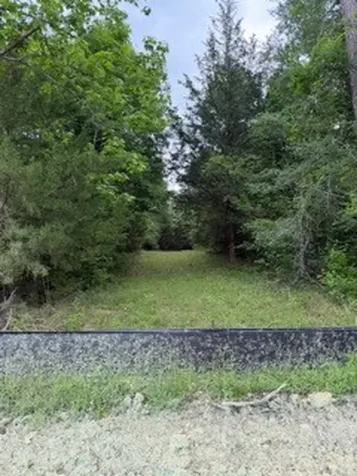 139785 Winters Vista Drive Willis TX 77378