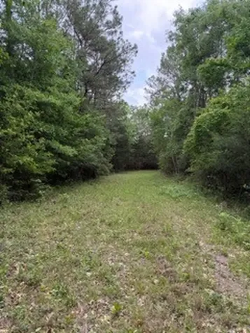 139785 Winters Vista Drive Willis TX 77378