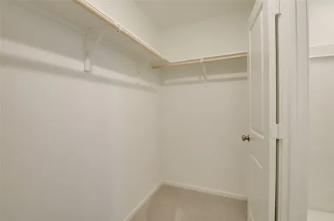 10915 Tawny Ridge Beasley TX 77417
