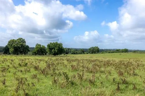 6550 Gibbs Creek Road Chappell Hill TX 77426