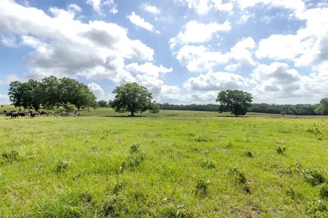 6550 Gibbs Creek Road Chappell Hill TX 77426