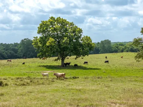 6550 Gibbs Creek Road Chappell Hill TX 77426