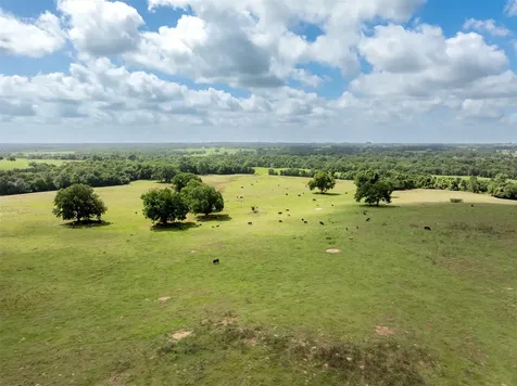 6550 Gibbs Creek Road Chappell Hill TX 77426