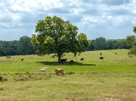 6550 Gibbs Creek Road Chappell Hill TX 77426