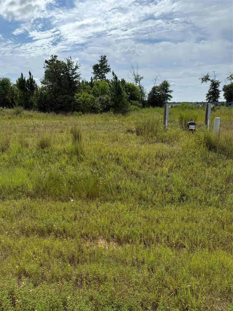 298 Road 5601 Cleveland TX 77327