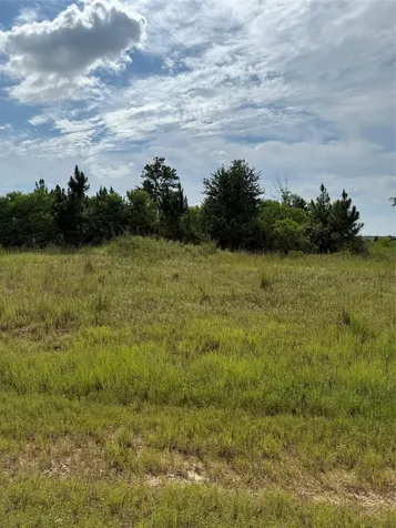 298 Road 5601 Cleveland TX 77327