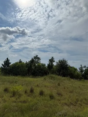 298 Road 5601 Cleveland TX 77327