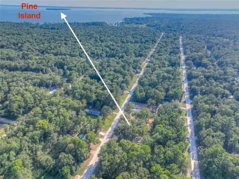767 Windwood Drive Livingston TX 77351