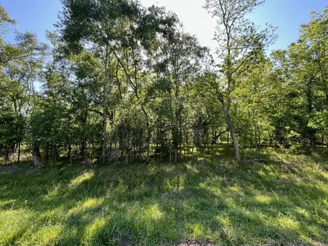 0 Squirrel Hollow Road Damon TX 77430