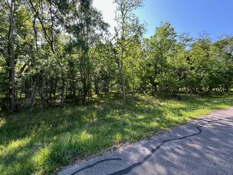 0 Squirrel Hollow Road Damon TX 77430