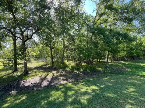 0 Squirrel Hollow Road Damon TX 77430