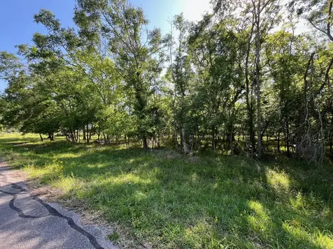 0 Squirrel Hollow Road Damon TX 77430