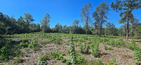 00 Lot 5 Cr 338 Nacogdoches TX 75961