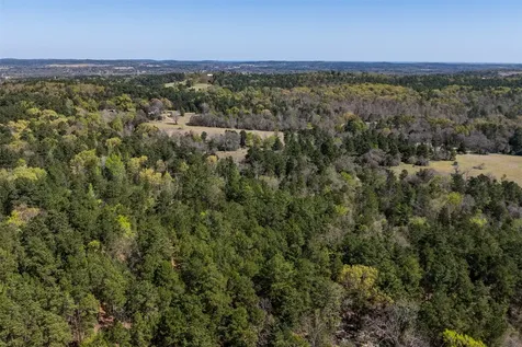 0 County Road 478 Larue TX 75770