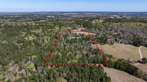 0 County Road 478 Larue TX 75770