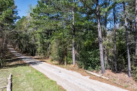 0 County Road 478 Larue TX 75770