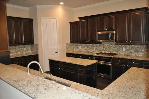 28127 Scenic Shore Lane Fulshear TX 77494