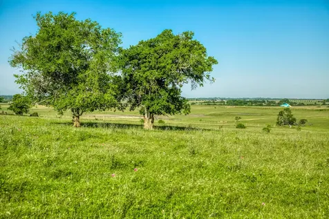 5005 Fuchs Road Burton TX 77835