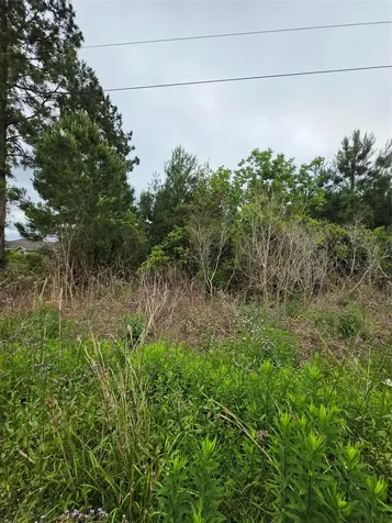2777 County Road 3479b Cleveland TX 77327
