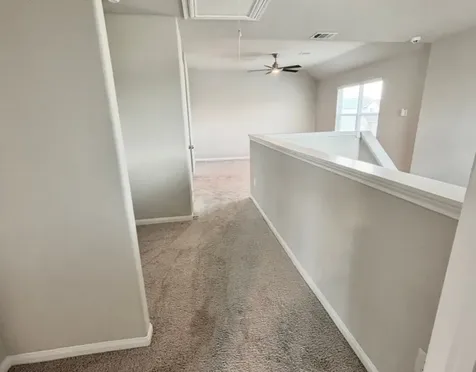 23663 Rainbow Eucalyptus Drive Spring TX 77373