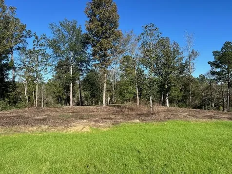 Tdb Lot 29 Addison Road Livingston TX 77351