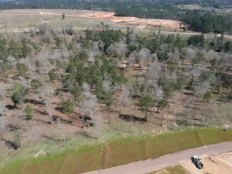 Tdb Lot 29 Addison Road Livingston TX 77351