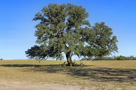 0 Stockade Ranch Road Paige TX 78659