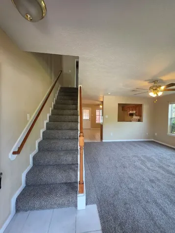 24023 Strong Pine Drive Houston TX 77336