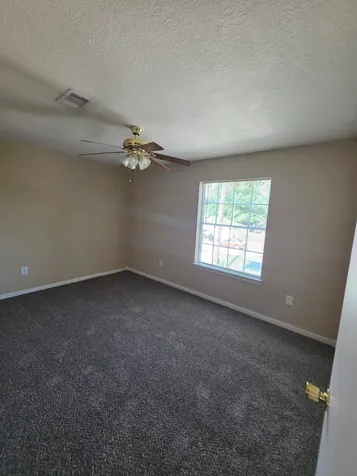 24023 Strong Pine Drive Houston TX 77336