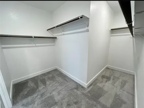 17697 Tree Of Heaven Drive Conroe TX 77385