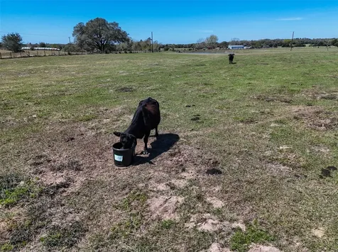 Tr. 2 Reitz Quinn Road Cat Spring TX 78933