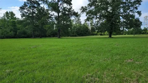 1299 S Fm 1988 Livingston TX 77351