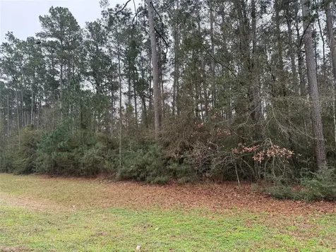 10213 S Autumn Leaf Circle Magnolia TX 77354